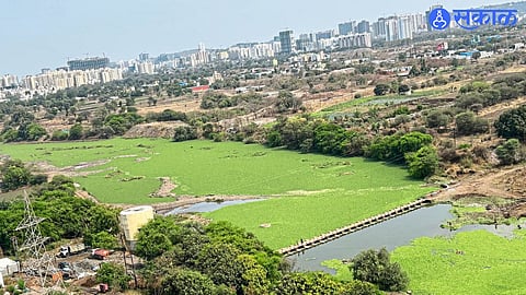 Foul-Smelling Water in Hinjawadi Societies Raises Health Concerns