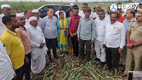 Former Minister Dilip Walse Patil