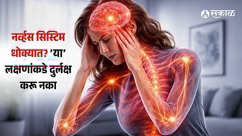 Nervous System Health 