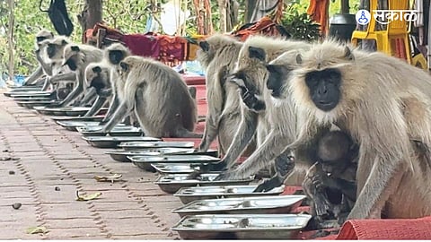 Spiritual Discipline in Akola: