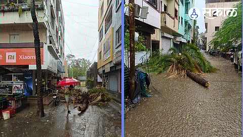 tree break in ghorpadi by rain