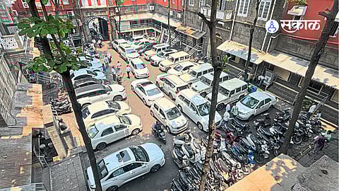 urban tree management