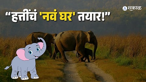 Conservation Milestone: India Approves 33rd Elephant Reserve in Uttar Pradesh