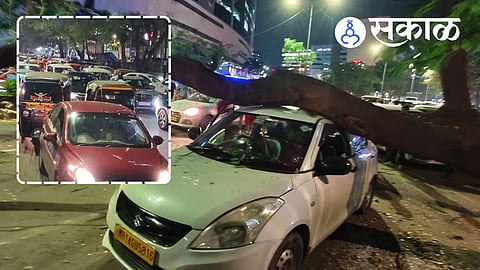 Gulmohar Tree Falls on Parked Car in Pune