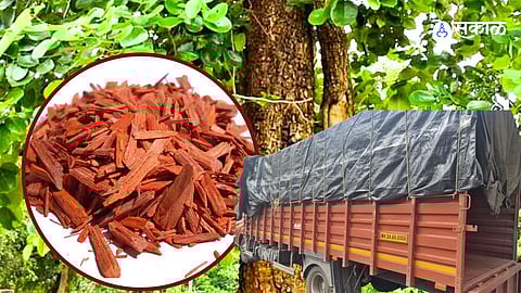 Midnight Operation: Three Arrested Near Pardi Shivar as Police Intercept Eicher Truck