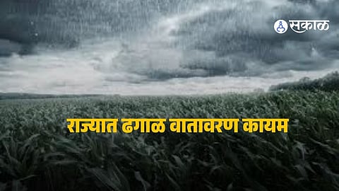 Maharashtra Weather Update : पुढील २४ तास धोक्याचे ! राज्यात पुन्हा वादळी वाऱ्यासह पावसाचा इशारा; 'या' ८ जिल्ह्यांना यलो अलर्ट 