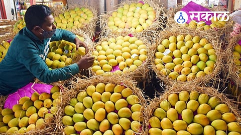 Climate Change Impact on Alphonso Mango Production
