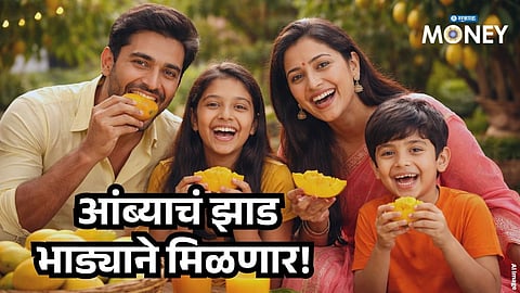 Rent A Mango Tree Startup