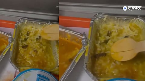 Cockroach Found in Vande Bharat Train Food