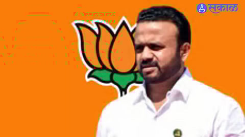 Minister Jaykumar Gore raises concerns over overnight statue installations; CM orders detailed study.