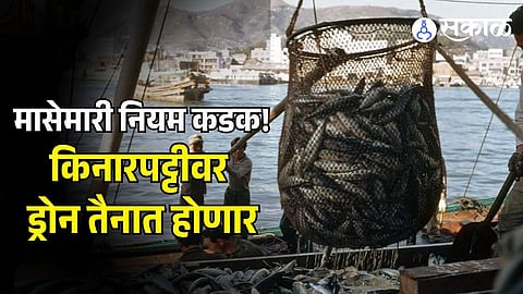 Government Action On Illegal Fishing