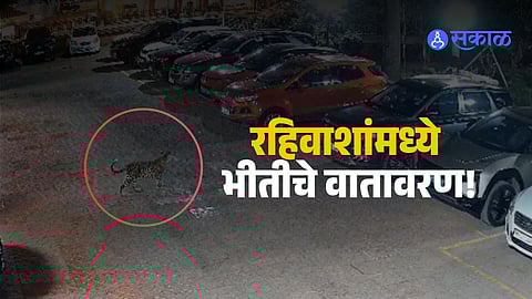 Leopard captured on CCTV entering a residential society in Goregaon, Mumbai, attacking a pet dog and causing panic among residents.
