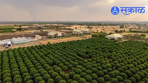 TAFE Bhawani Mandi inauguration