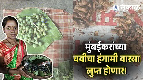 Tribal Vendors Livelihoods in dangered