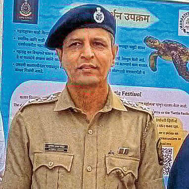 रायगड किनारपट्टीवर कासव संवर्धनाला वेग