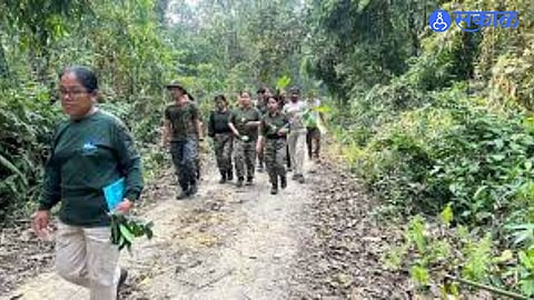 New Rule for Wildlife Survey: Participants Must Give Written Undertaking