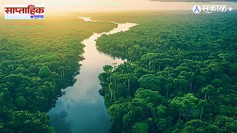 Climate change & carbon cycle 