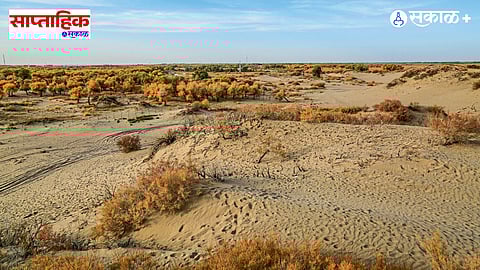 Himalayan ecosystem degradation 