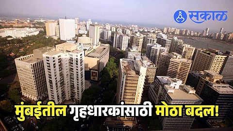 Bmc Occupancy Certificate Rule