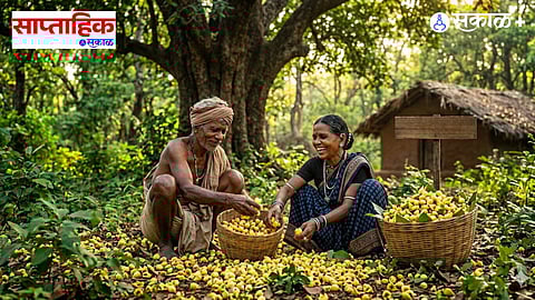 Mahua Tree Uses
