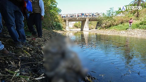 Nashik Leopard Death