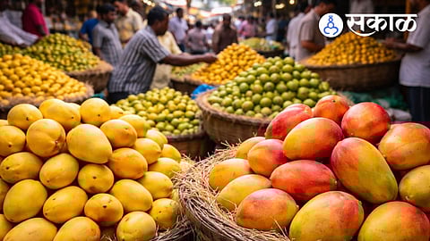 mango price hike in Konkan 2026