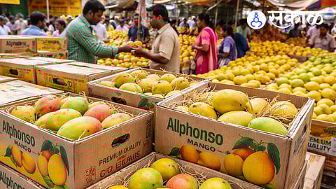 Fake Hapus Mango Scam in Nipani