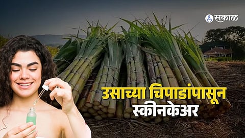 "कचऱ्यातून उजळणार चेहरा!" ऊसाच्या चिपाडांपासून लॅक्टिक ॲसिड बनवण्याचे भारतीय शास्त्रज्ञांना यश; केंद्र सरकारकडून पेटंट प्राप्त