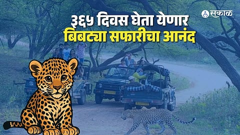 Wildlife Tourism Gets a Push: 365-Day Leopard Safari Planned in UP