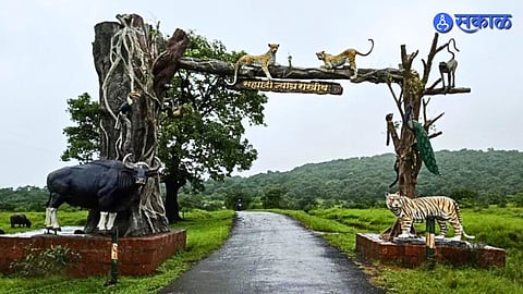 Chandoli National Park Fee hike