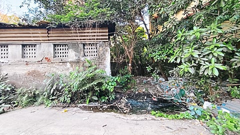 महामंडळाच्या स्वच्छता अभियानाचा फज्जा