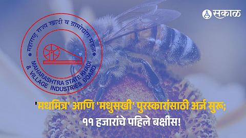 पुण्यातील मधपाळांसाठी मोठी संधी! 'मधमित्र' आणि 'मधुसखी' पुरस्कारांसाठी नामांकने जाहीर; खादी व ग्रामोद्योग मंडळाचे आवाहन