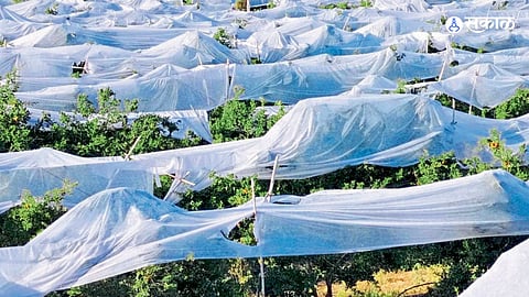 Chhatrapari Sambhajinagar