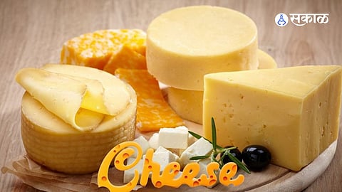 सावधान! तुमच्या पिझ्झा-बर्गरमधील ‘चीज’ खरे की भेसळयुक्त?; ‘चीज ॲनॉलॉग’ वापरणाऱ्या हॉटेल्सवर आता FDA ची करडी नजर!