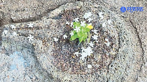 Kunkeshwar temple second Shivling discovery details
