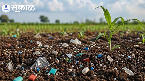 how plastic waste affects agriculture productivity