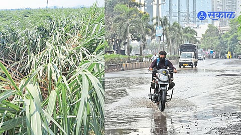 Weather Alert Farmers yellow alert