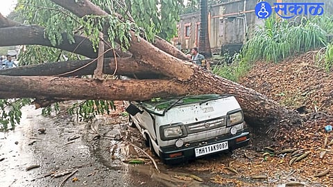 Gusty Winds and Rain Lash Satara; Citizens Face Trouble