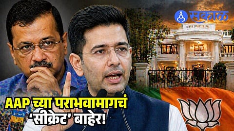 AAP defeat Delhi elections