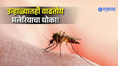 Rising Malaria Cases in Summer