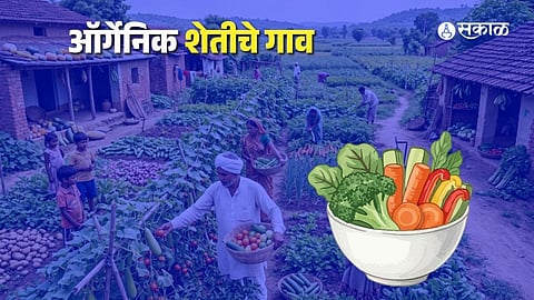 organic farming city