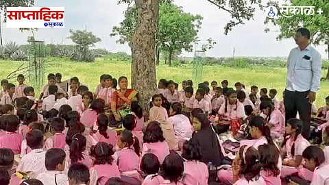 Nature Conservation by Artists in India