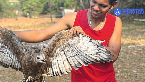 Endangered Indonesian Maleo Bird Gets New Life After Rescue in India