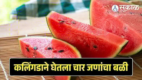 Mumbai 4 peoples die after eating watermelon
