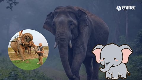 man ki baat up gaj mitra