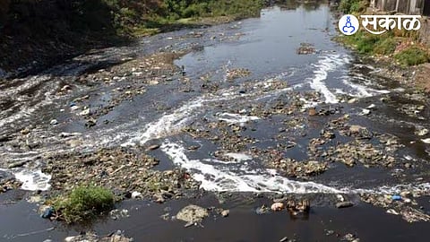 Ulhas River Pollution
