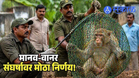 Maharashtra monkey capture reward