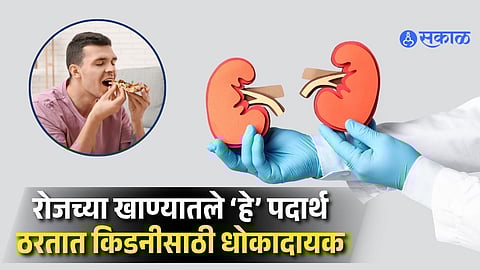 Hidden Kitchen Foods That May Harm Your Kidneys: Change These Eating Habits Today