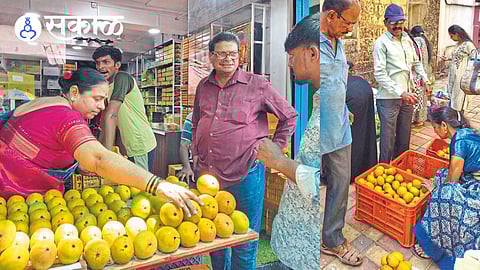 alphonso mango price drop in ratnagiri 2026