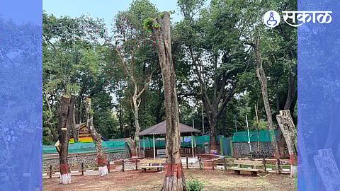 Tree cutting in mayor bunglow